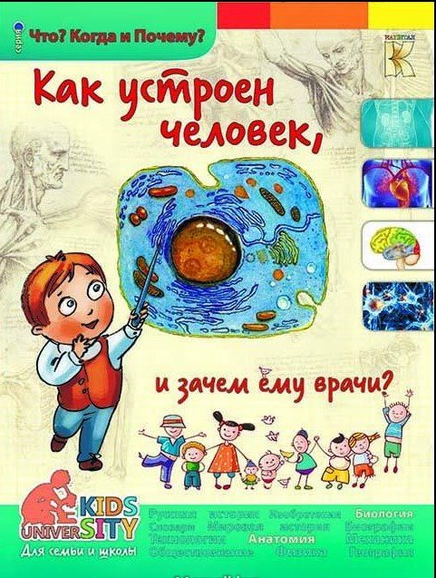 Как устроен человек и зачем ему врачи? Энциклопедия