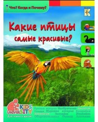 Какие птицы самые красивые? Энциклопедия