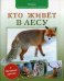 Кто живет в лесу + обучающие карточки