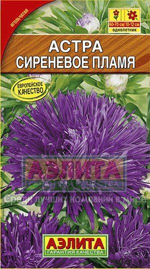 Семена. Астра "Сиреневое пламя", однолетник (вес: 0,2 г)