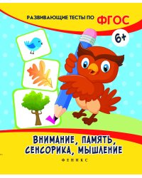 Внимание, память, сенсорика, мышление