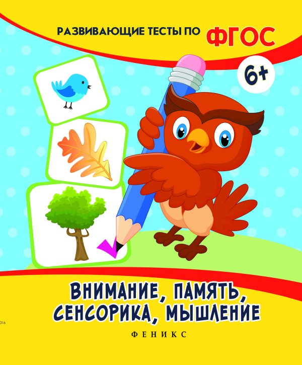 Внимание, память, сенсорика, мышление