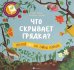 Что скрывает грядка?