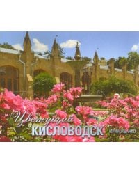 Цветущий Кисловодск. Фотоальбом