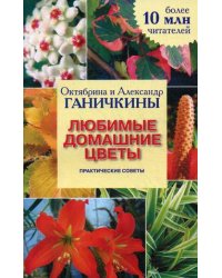 Любимые домашние цветы. Практические советы