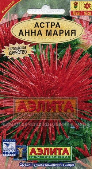 Семена. Астра "Анна Мария", однолетник (вес: 0,2 г)