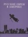 Русские евреи в Америке. Книга 13