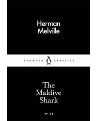 The Maldive Shark