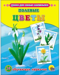 Обучающие карточки. Полевые цветы