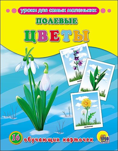 Обучающие карточки. Полевые цветы