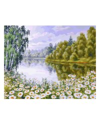 Живопись на холсте "В ромашковом краю", 40х50 см