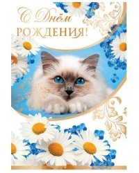 Открытка "С Днем рождения!"