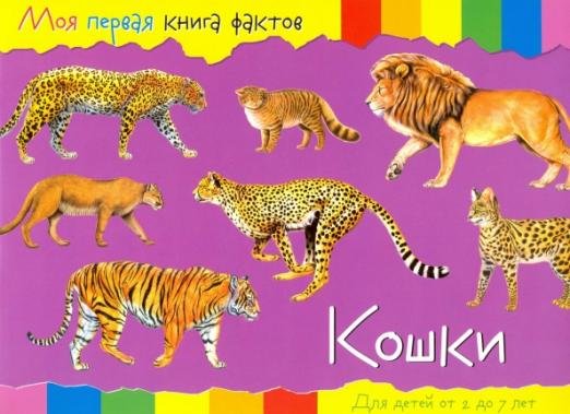 Кошки