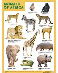 Плакат ANIMALS OF AFRICA (Животные Африки)