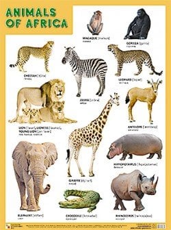 Обложка книги «Плакат ANIMALS OF AFRICA (Животные Африки)», ISBN 9785431508639