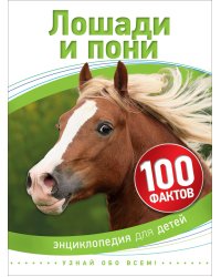 Лошади и пони