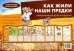 Как жили наши предки