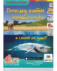 Почему киты живут в воде, а слоны на суше?