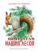Обложка книги «Обитатели наших лесов» — Соколова И., ISBN 9785906807496