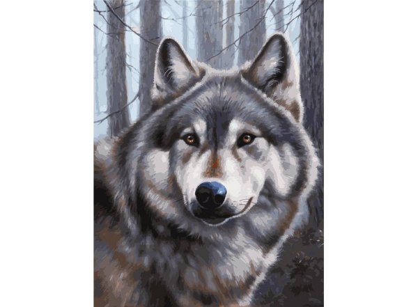 Обложка книги «Живопись на холсте "Волк", 30х40 см»