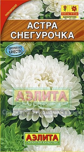 Семена. Астра "Снегурочка", однолетник (вес: 0,2 г)