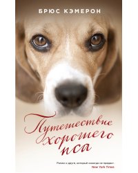 Путешествие хорошего пса
