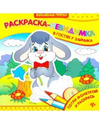 В гостях у зайчика. Раскраска-невидимка