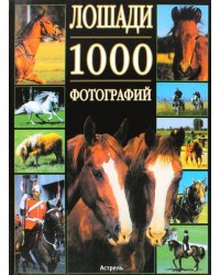 Лошади. 1000 фотографий