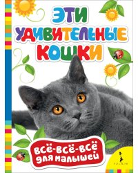 Эти удивительные кошки