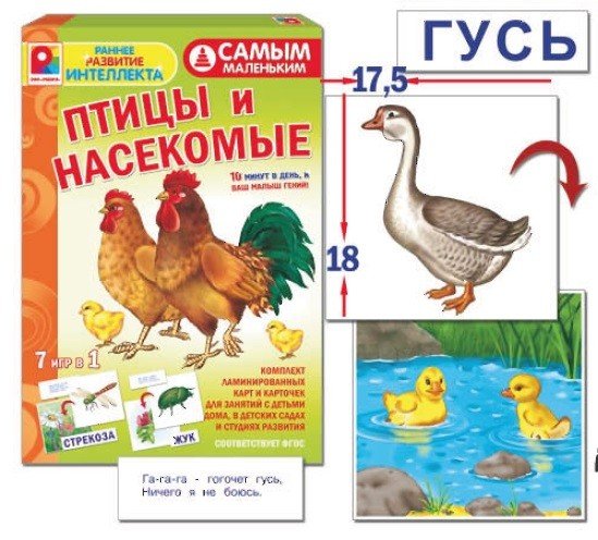 Игра настольно-печатная из картона "Птицы, насекомые. Самым маленьким"