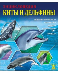 Энциклопедия. Киты и дельфины