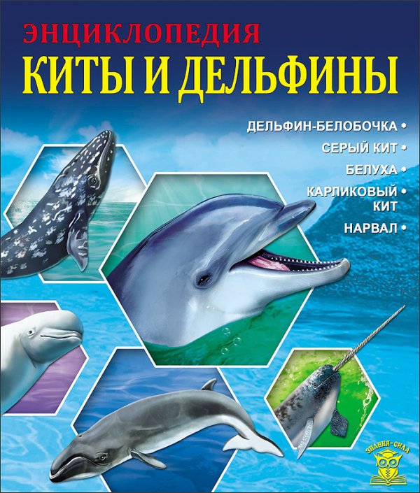 Обложка книги «Энциклопедия. Киты и дельфины» — Калугина Леся, ISBN 9785378267095
