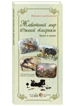 Животный мир Южной Америки.Яркие и юркие (репродукция)