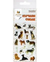Набор наклеек. Породы собак