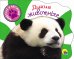 Обложка книги «Дикие животные», ISBN 9785378256457
