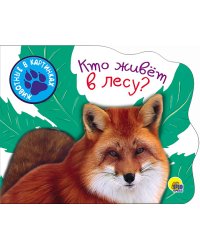 Кто живет в лесу?