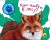 Обложка книги «Кто живет в лесу?», ISBN 9785378256471