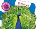 Обложка книги «Птицы», ISBN 9785378256488