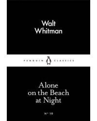 On the Beach at Night Alone