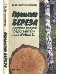 Карельская береза и другие редкие представители рода Betula L.