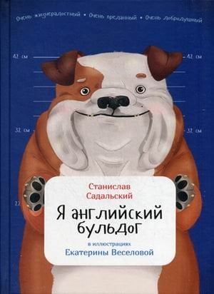 Я английский бульдог