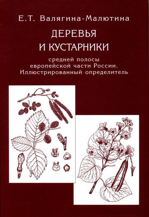 Деревья и кустарники средней полосы европейской части России. Иллюстрированный определитель