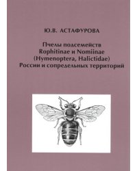 Пчелы подсемейств Rophitinae и Nomiinae (Hymenoptera, Halictidae) России и сопредельных территорий
