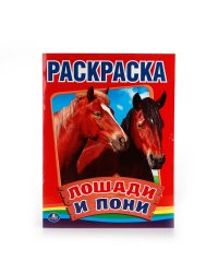 Лошади и пони