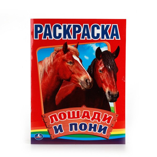 Лошади и пони