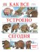 Как все устроено сегодня