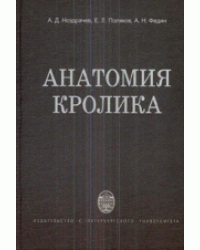 Анатомия кролика