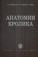 Анатомия кролика
