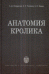 Анатомия кролика