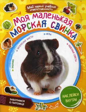 Моя маленькая морская свинка. Наклейки внутри